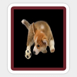 Puppy with a ball to play Sticker